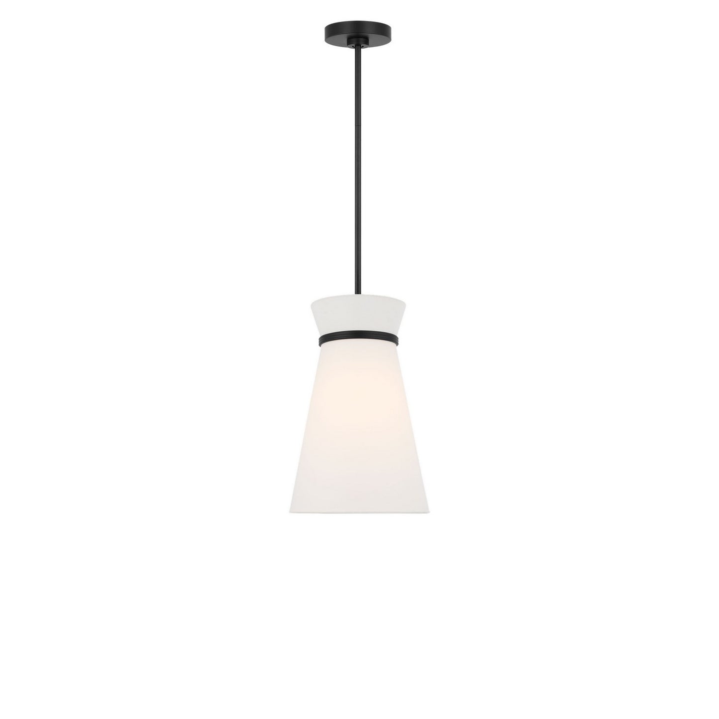 Fynn One Light Pendant in Midnight Black