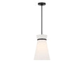 Fynn One Light Pendant in Midnight Black