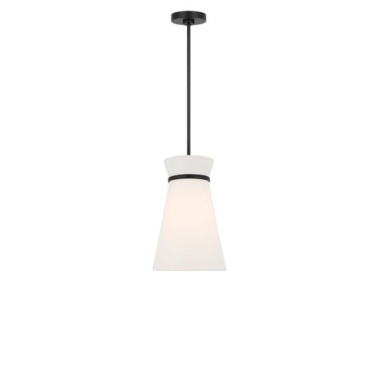 Fynn One Light Pendant in Midnight Black