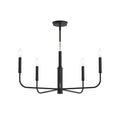 Reines Five Light Chandelier in Matte Black