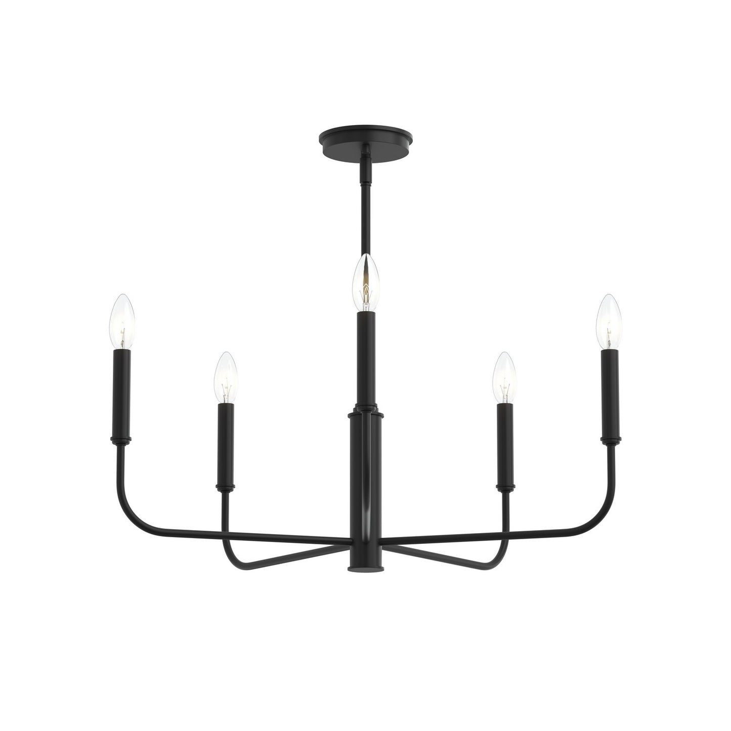 Reines Five Light Chandelier in Matte Black