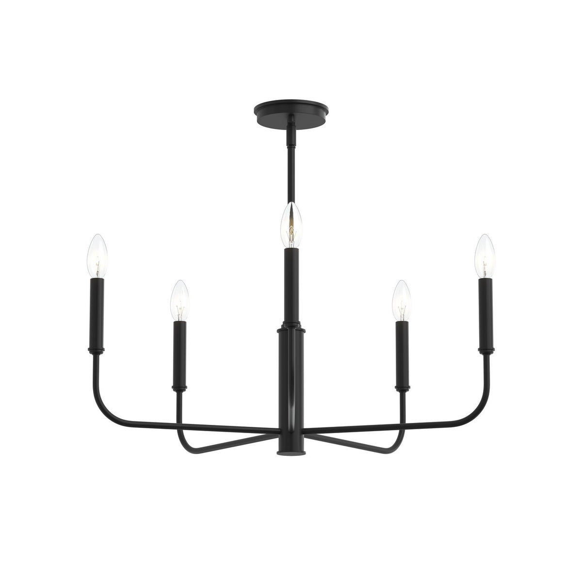 Reines Five Light Chandelier in Matte Black