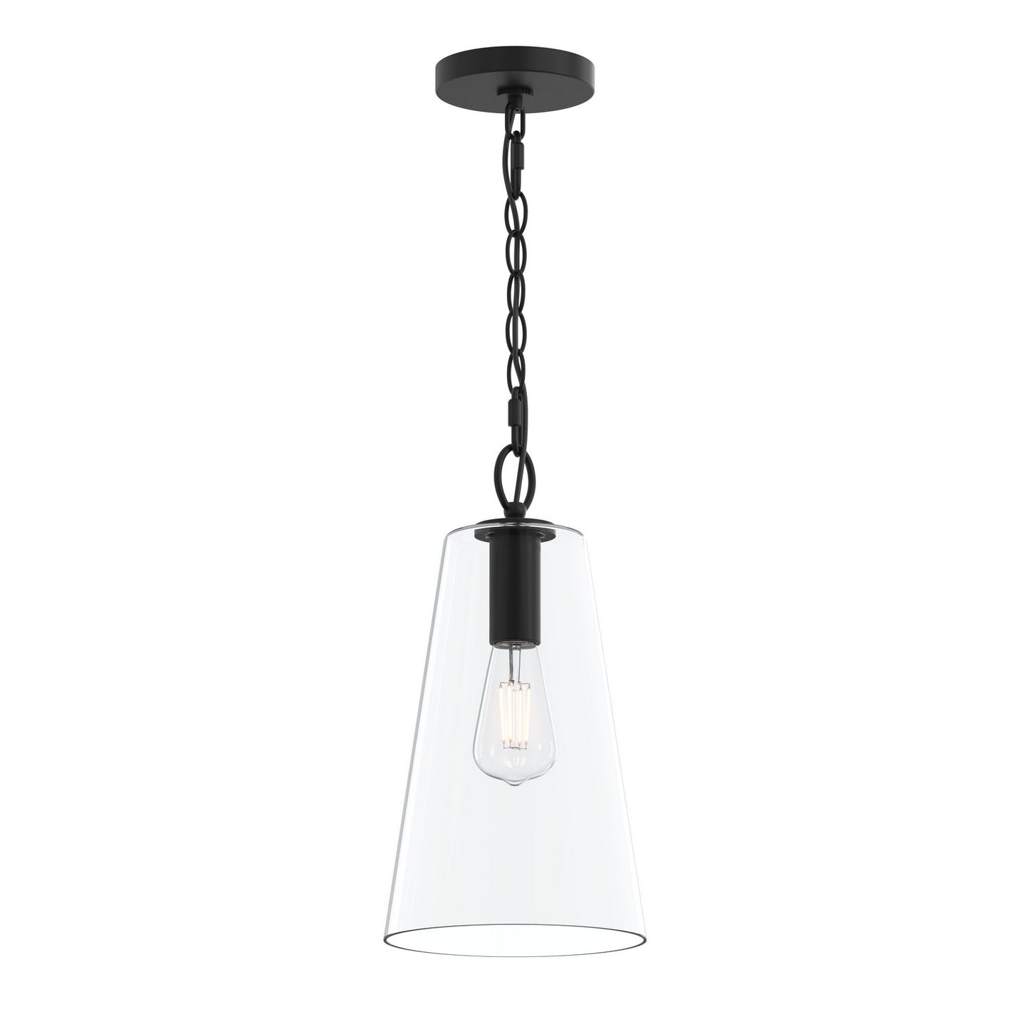 Jheni One Light Pendant in Matte Black