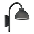 Dome Light in Black