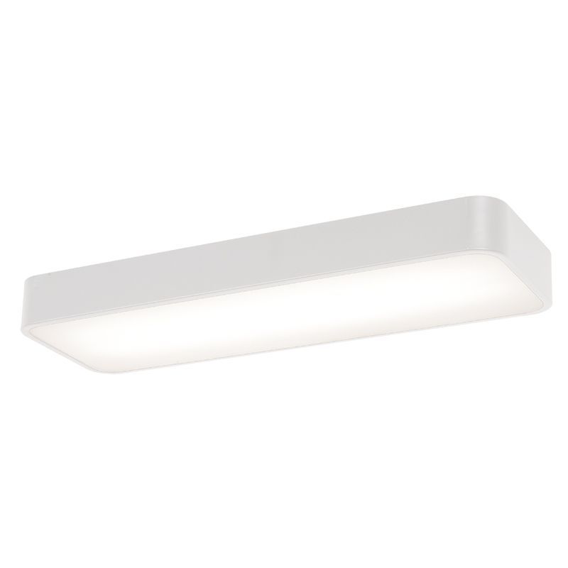 Surface Ceiling Light in White