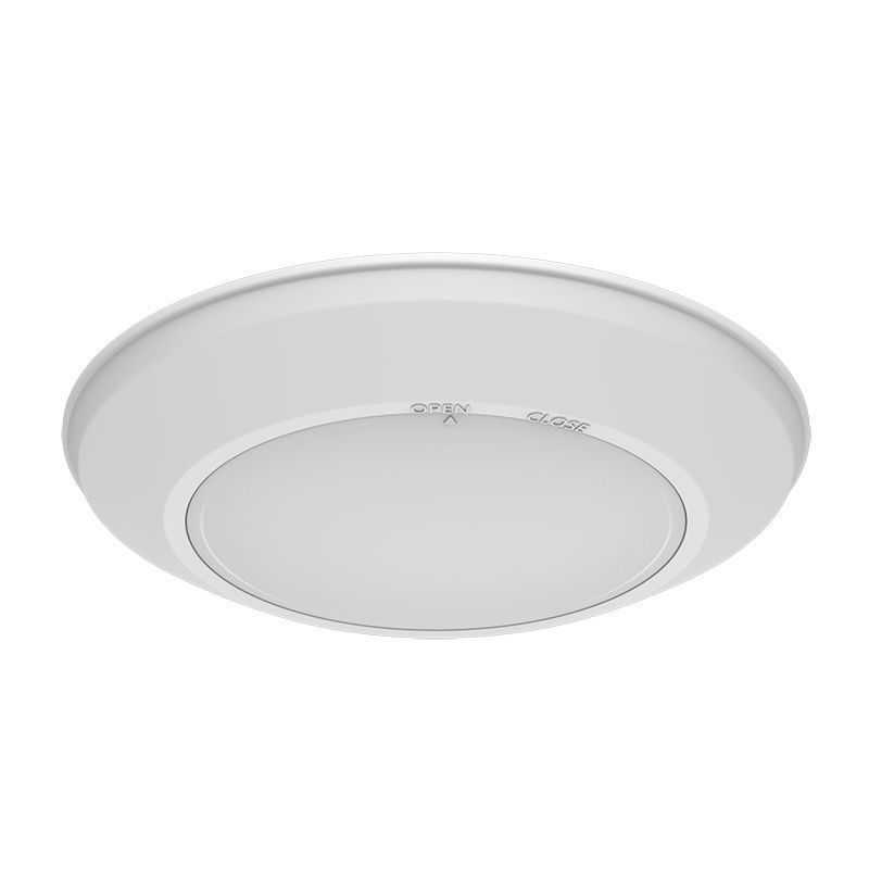 6In Disk in White