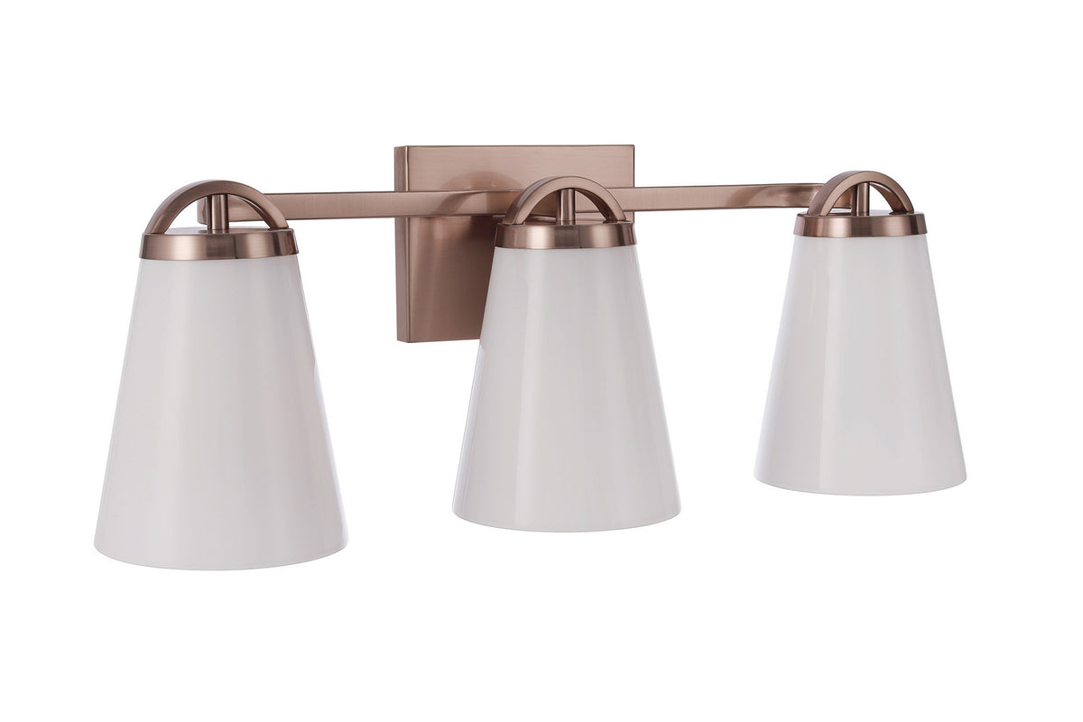 Zane Three Light Vanity in Premium Bronze