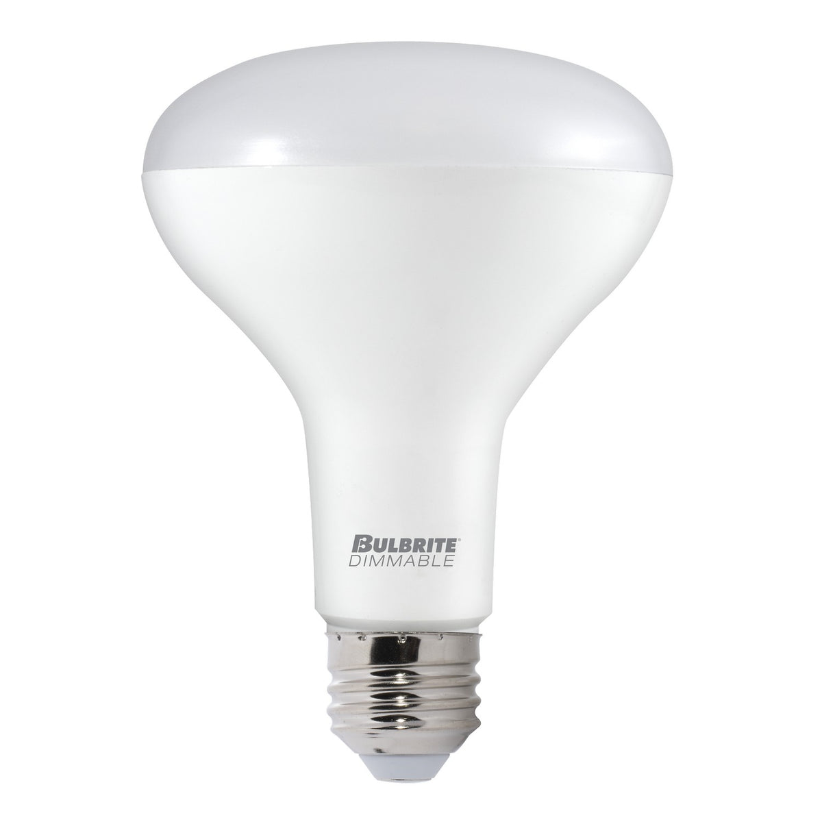 Light Bulb in Frost