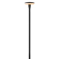 Calie LED Path Light in Black
