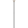 Calie LED Path Light in Black