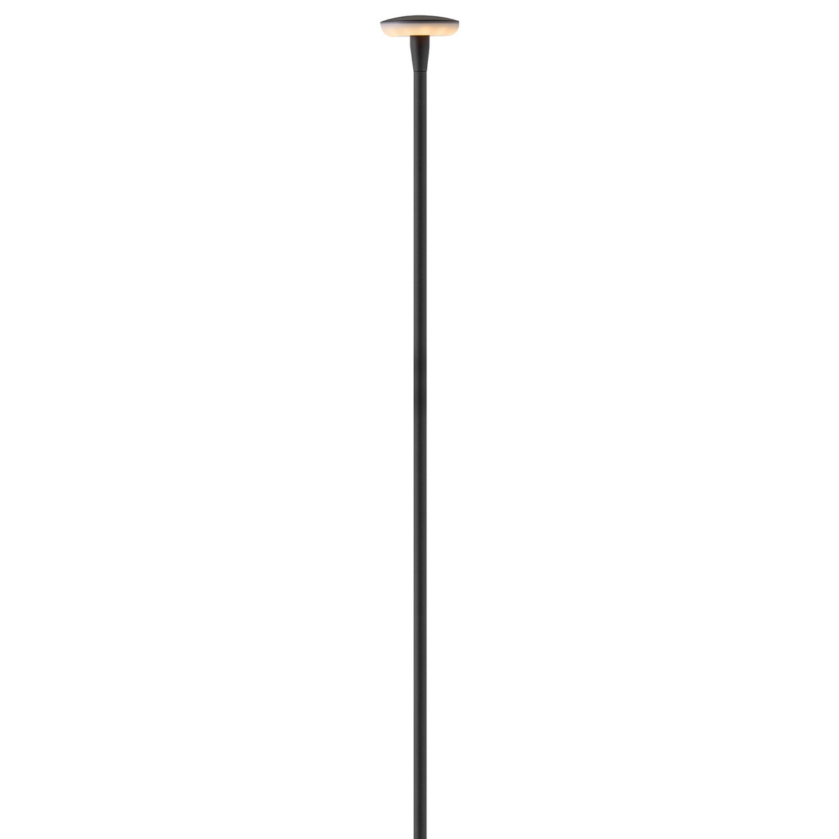 Calie LED Path Light in Black