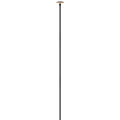 Calie LED Path Light in Black