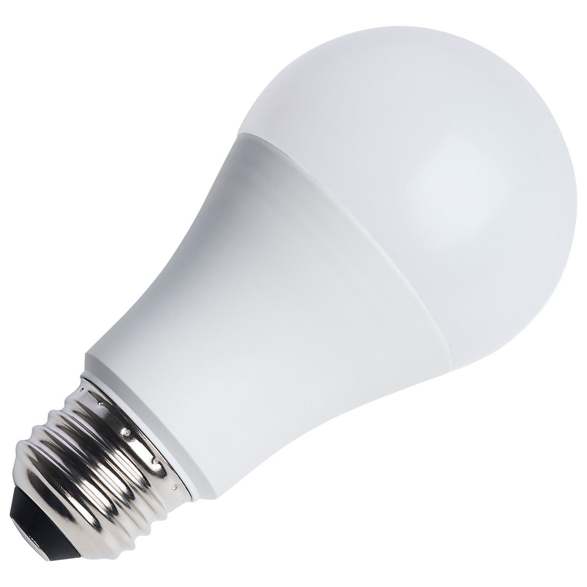 Light Bulb in Frost