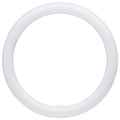 Satco S16511 16W LED T9 Tubular Bulb, G10q Base, 3000K, 1850 Lumens, Frost