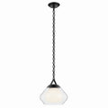 Nella One Light Pendant in Black