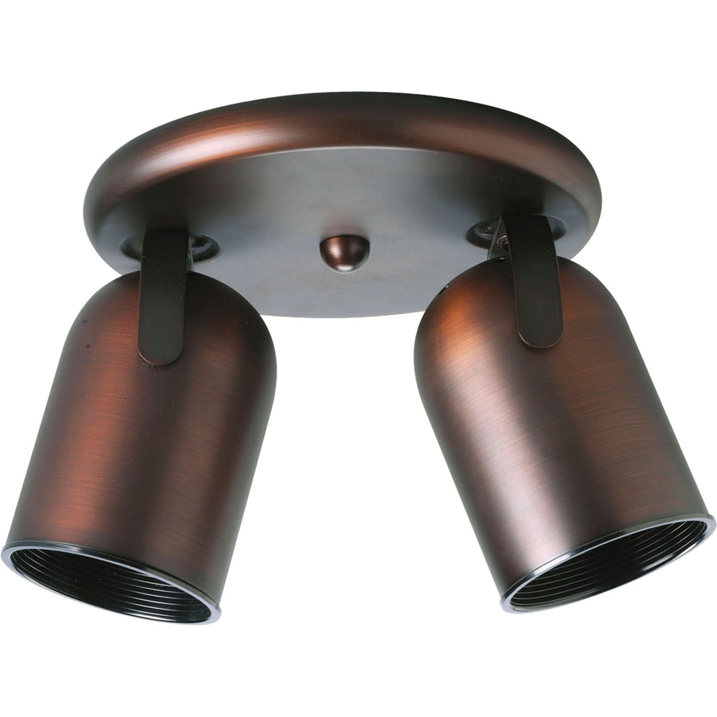 Directional Two Light Wall/Ceiling Fixture in Urban Bronze