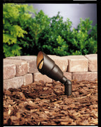 One Light Accent in Textured Architectural Bronze