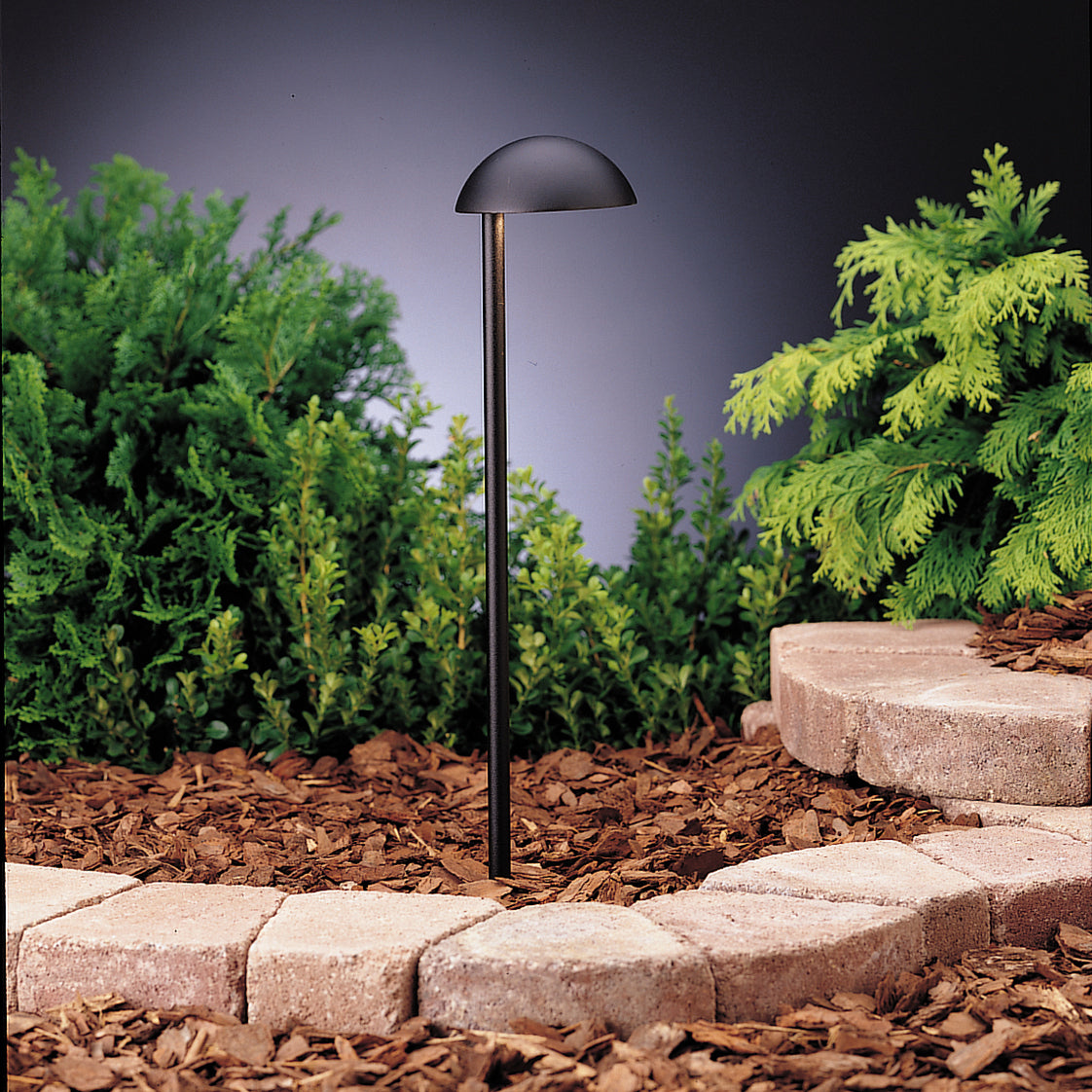 Eclipse One Light Path & Spread in Textured Black