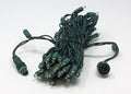 Sival LED RGBWW Polka Dot (5mm) Christmas Light String, 50LT, 6" Spacing, 25 ft., Green Wire, 1-String Pack