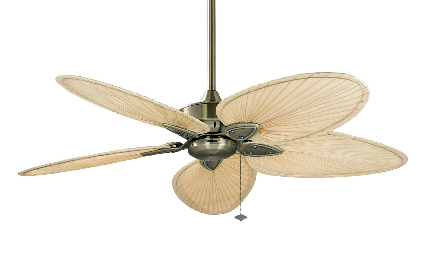 Windpointe 52" Ceiling Fan in Antique Brass