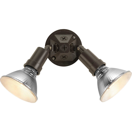 Par Lampholder Two Light Adjustable Swivel Flood Light in Antique Bronze
