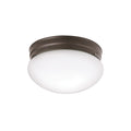 Ceiling Space Two Light Flush Mount in Olde Bronze