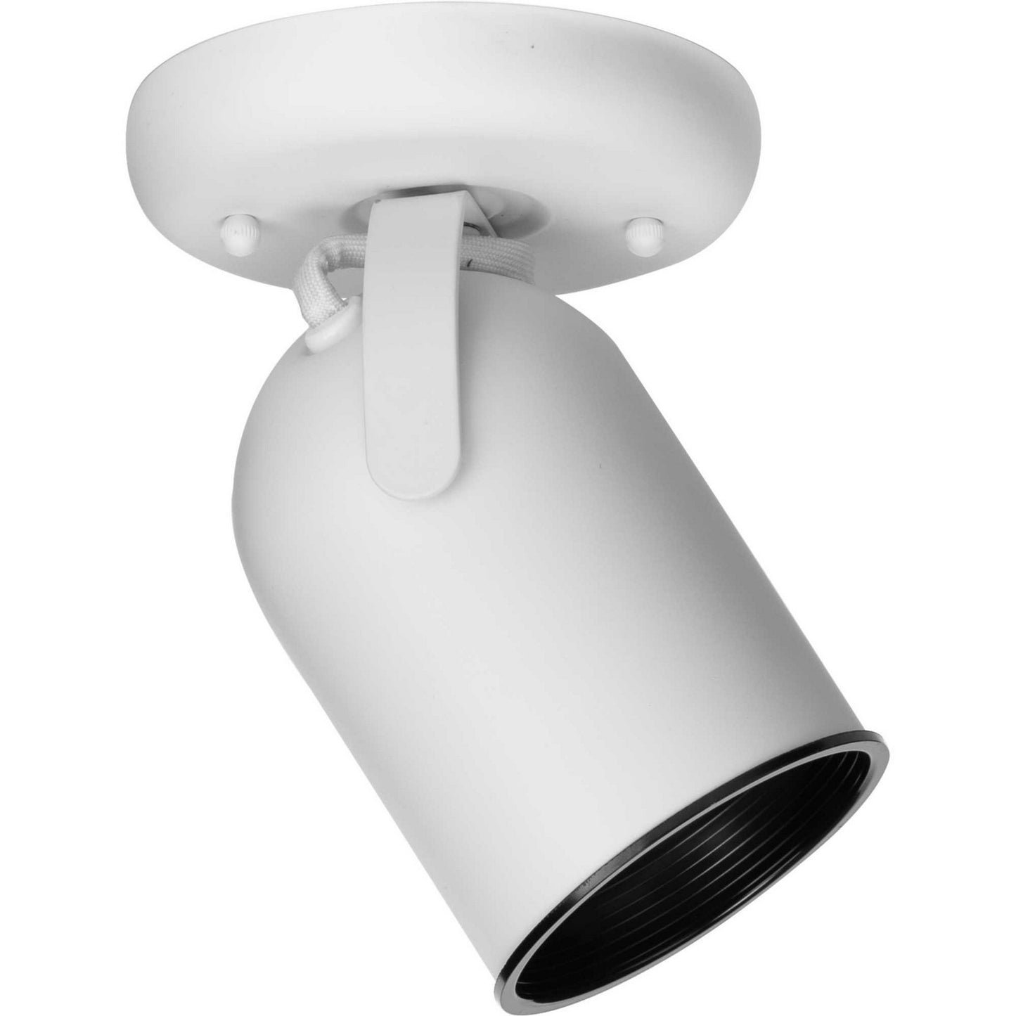 Directional One Light Wall/Ceiling Mount in White