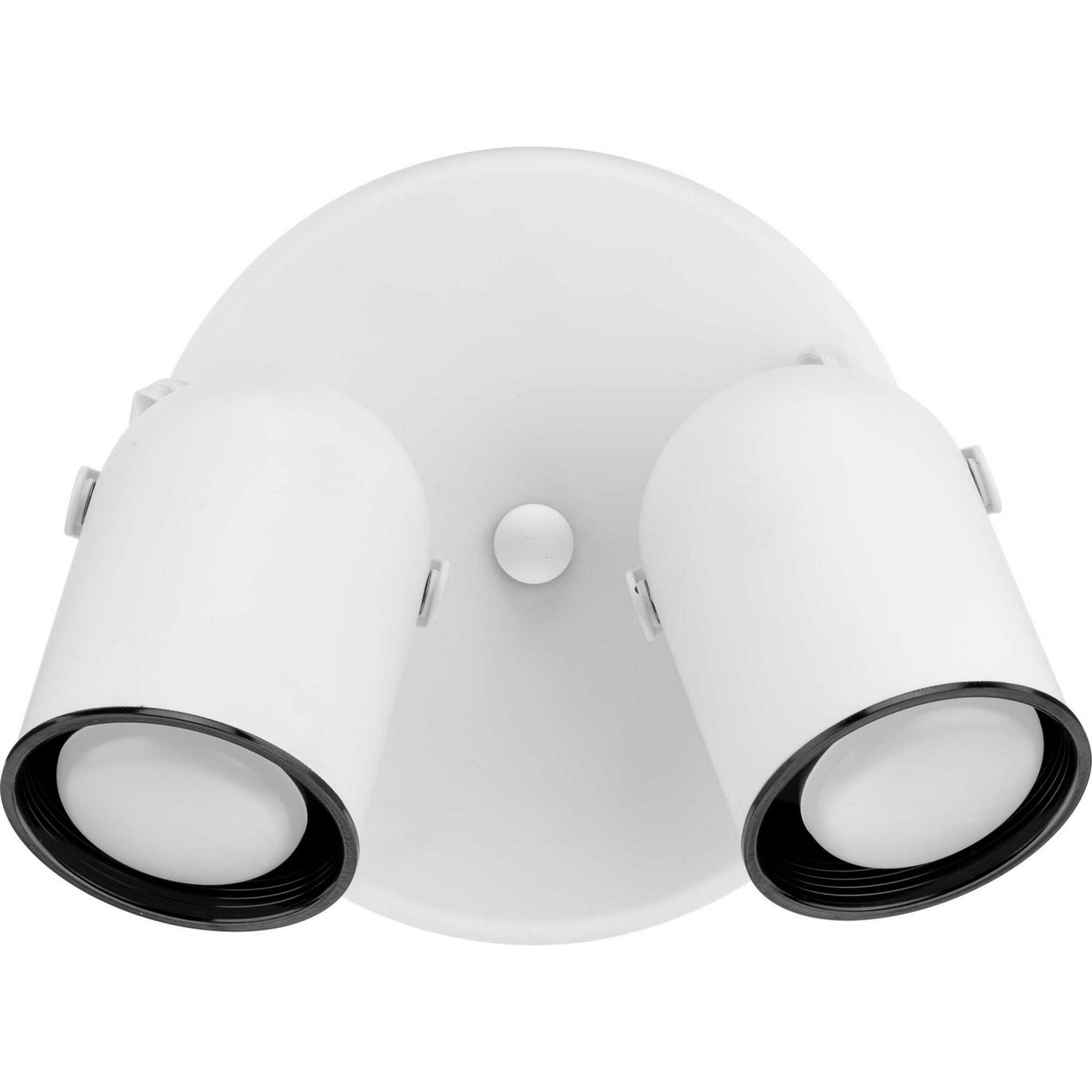 Directional Two Light Wall/Ceiling Mount in White