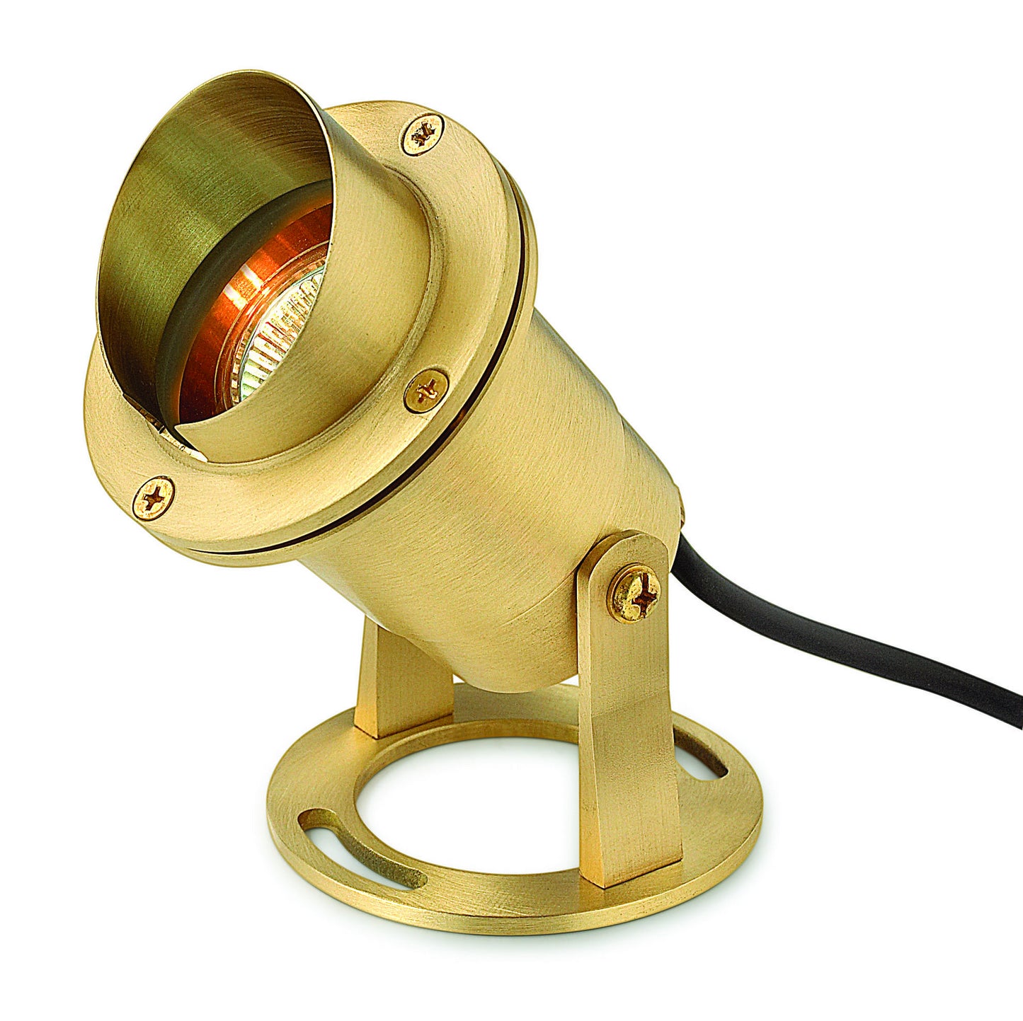 Accent Pond Light LED Submersible in Brass