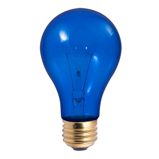 25W A19 PARTY BULB TRANSPARENT BLUE E26 120V