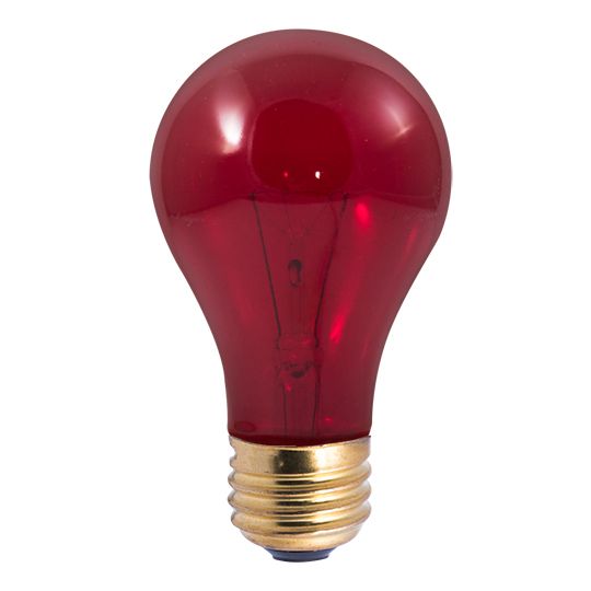 25W A19 PARTY BULB TRANSPARENT RED E26 120V