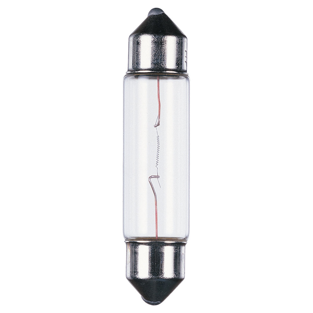 (4-Pack) Lx Xenon Festoons Light Bulb in Clear