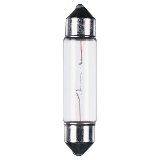 (4-Pack) Lx Xenon Festoons Light Bulb in Clear