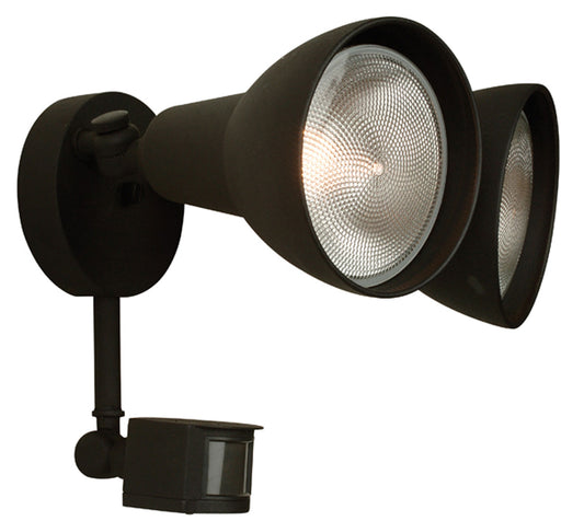 Flood Two Light Covered Flood with Motion Sensor in Textured Black