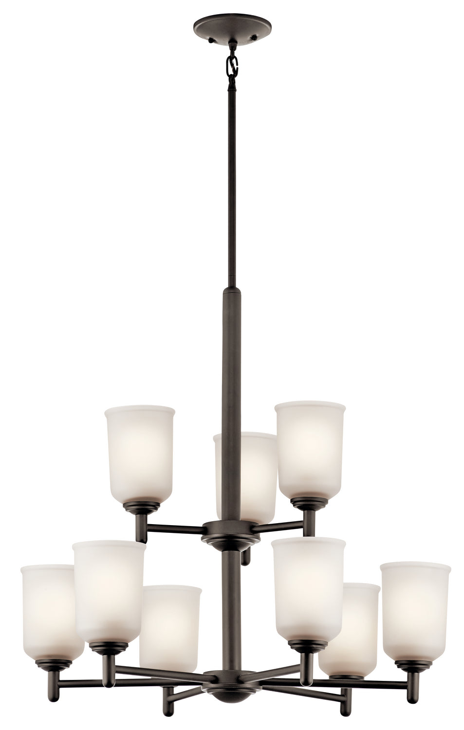 Shailene Nine Light Chandelier in Olde Bronze