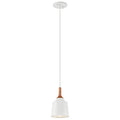 Danika One Light Mini Pendant in White