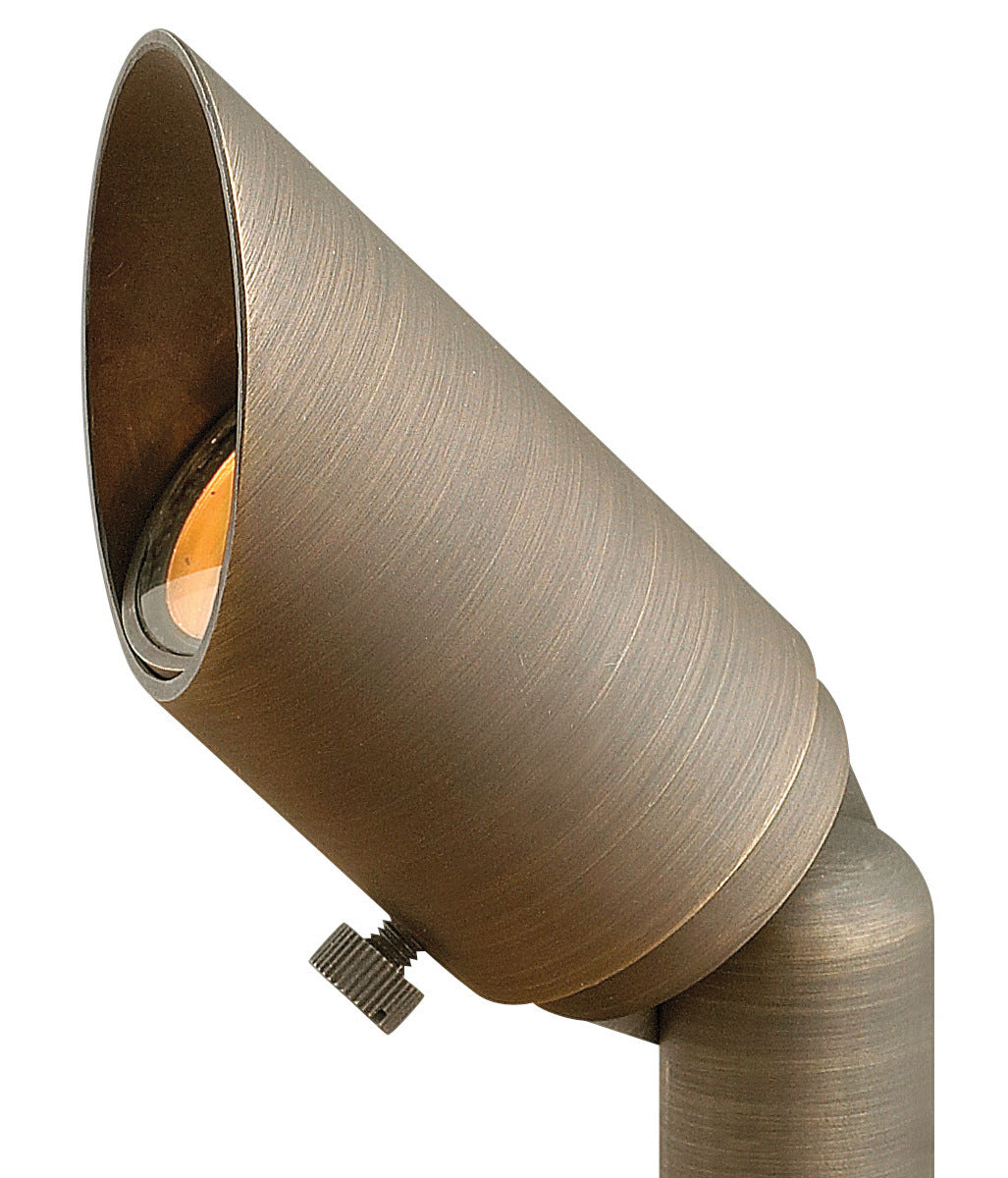 Hardy Island Accent Spot Light LED Spot Light in Matte Bronze