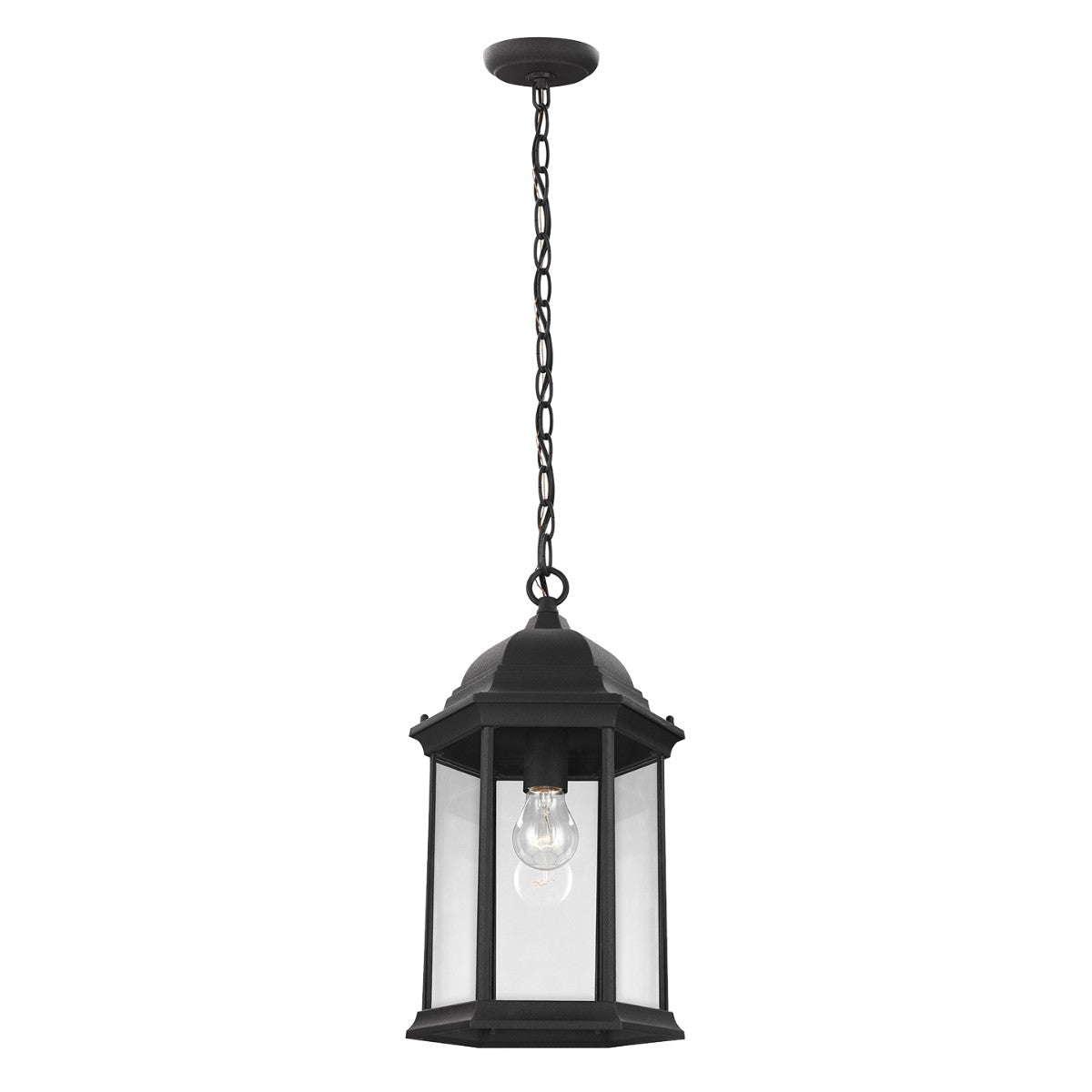 Sevier One Light Outdoor Pendant in Black