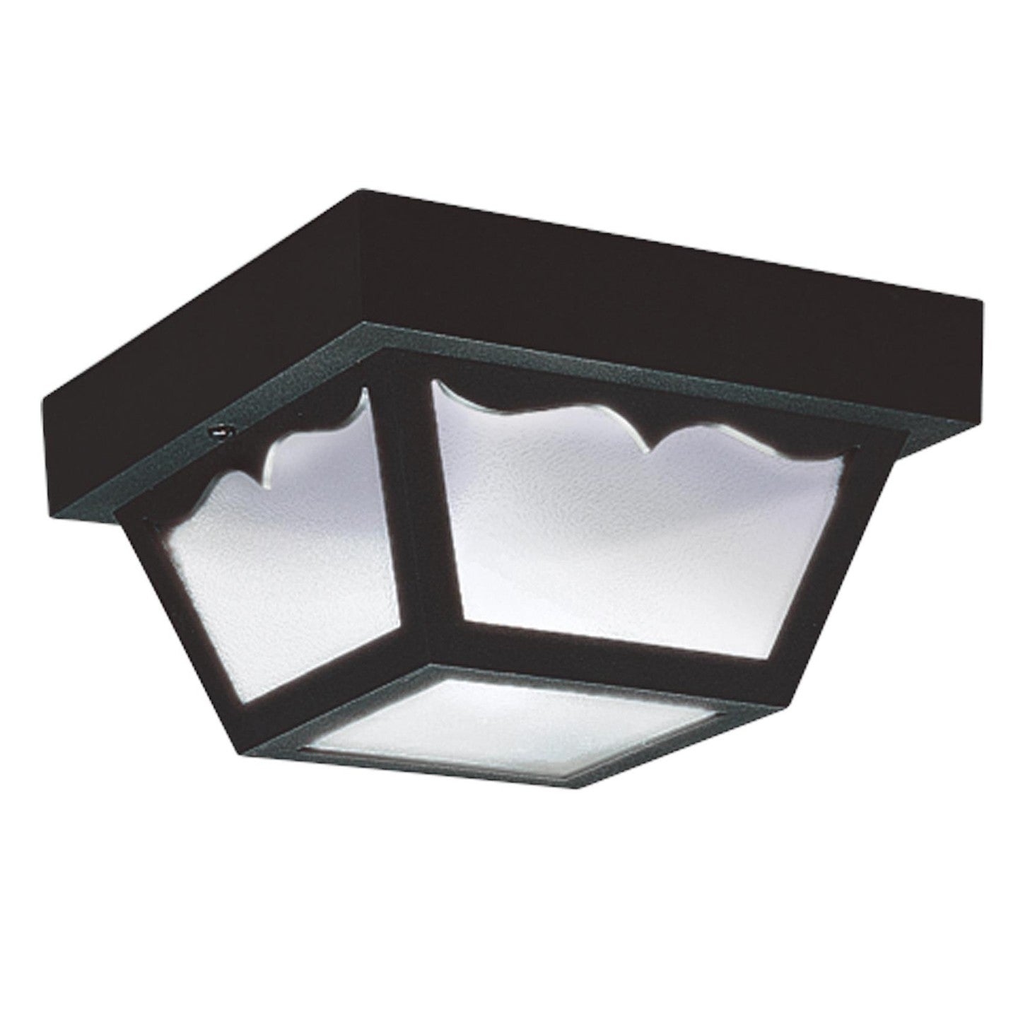 Outdoor Ceiling Two Light Outdoor Flush Mount in Black
