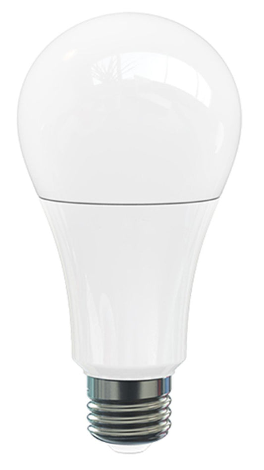 (4-Pack) Light Bulb in White