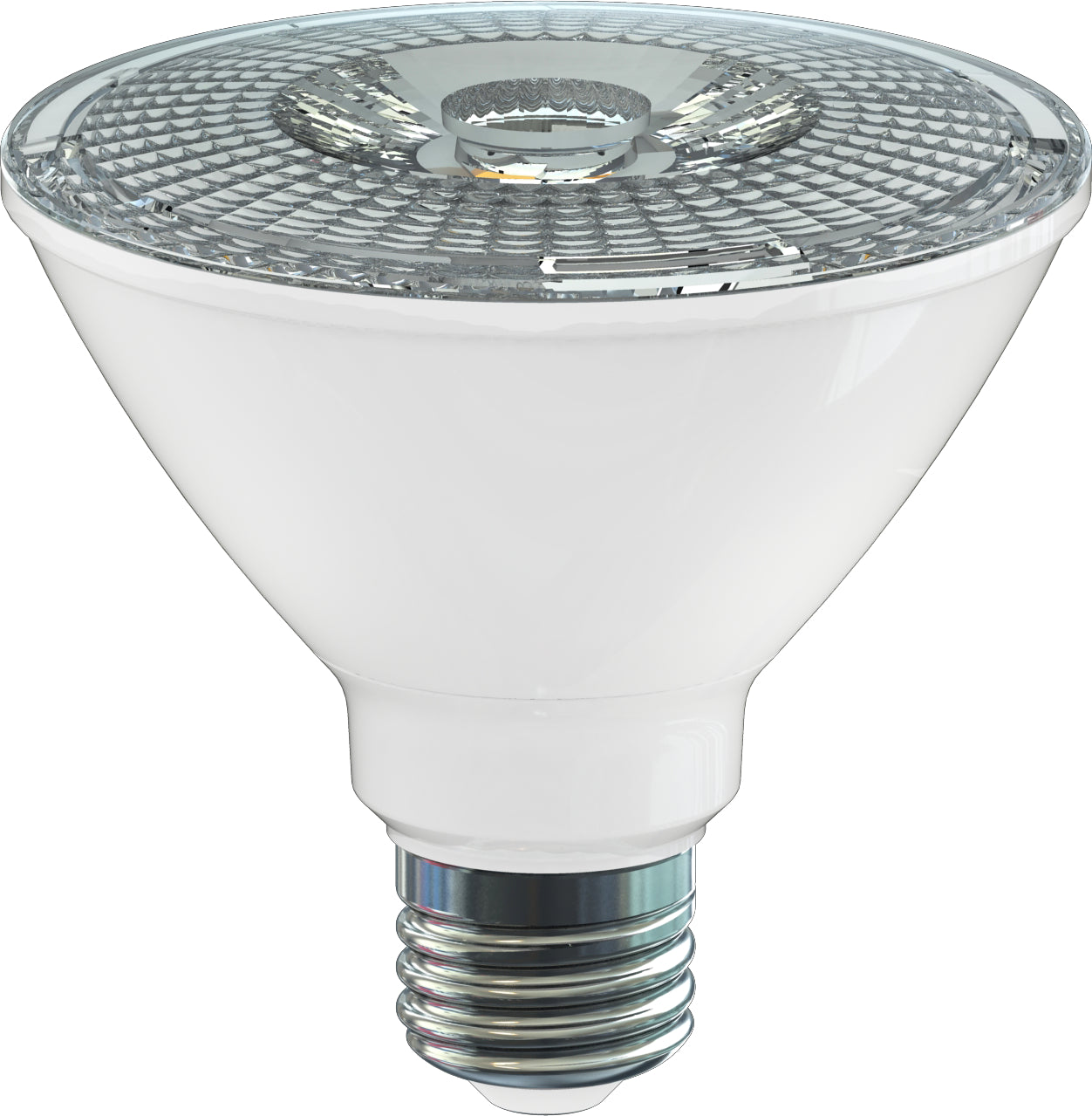 (4-Pack) Light Bulb