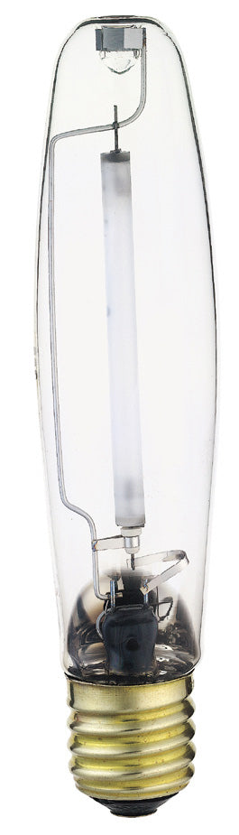 Light Bulb in Clear