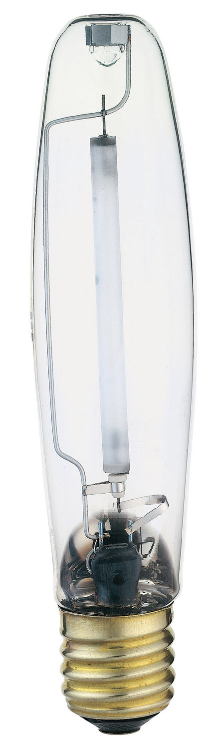Light Bulb in Clear