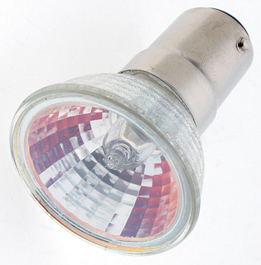 (4-Pack) Light Bulb in Clear