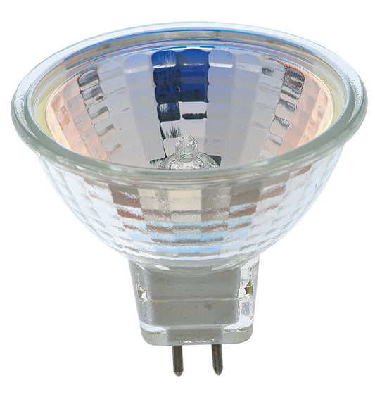 (4-Pack) Light Bulb in Clear