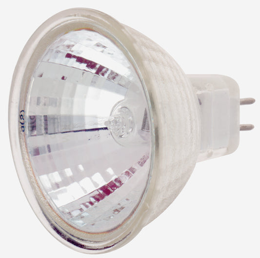 (4-Pack) Light Bulb in Clear