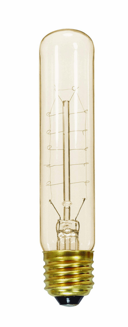 (4-Pack) Light Bulb in Clear
