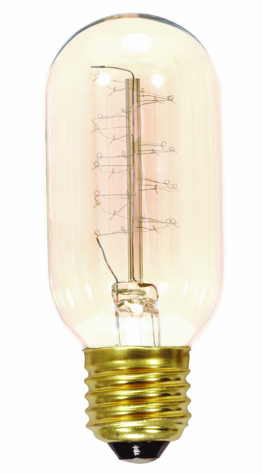 (4-Pack) Light Bulb in Clear