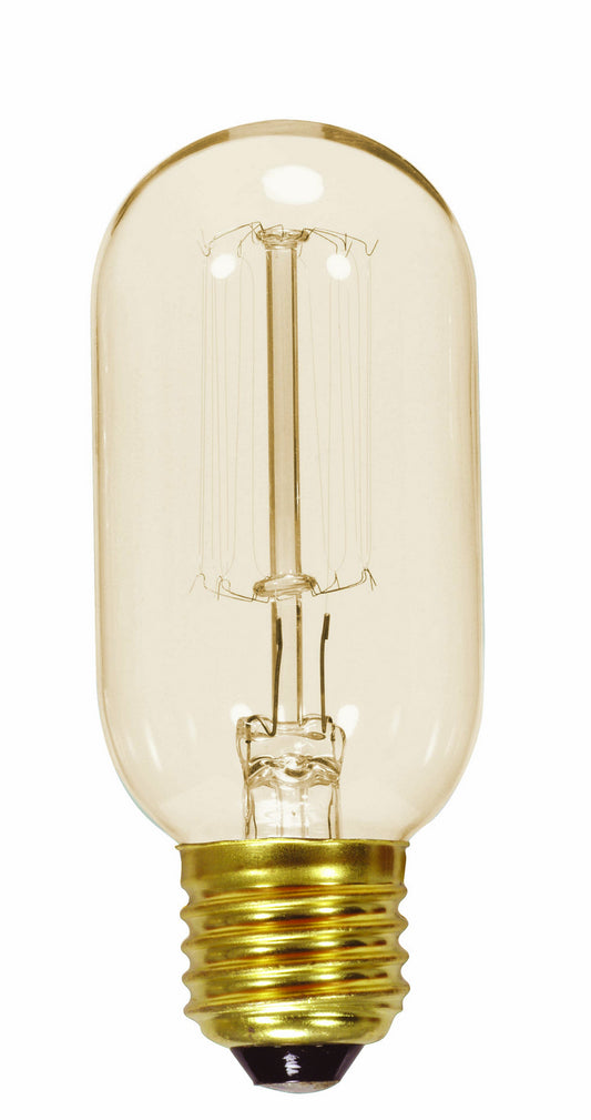 (4-Pack) Light Bulb in Clear