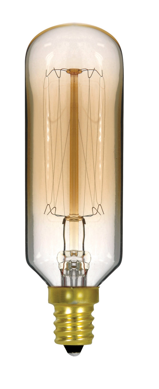 (4-Pack) Light Bulb in Clear Gold